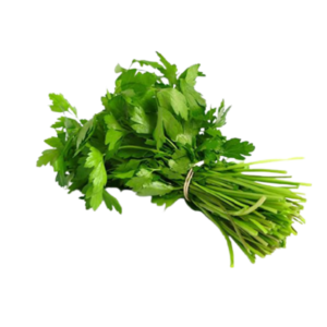 kothimbir Coriander Leaves , 1 Bunch