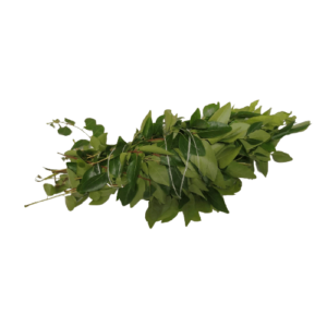 Curry Leaves,100 gm