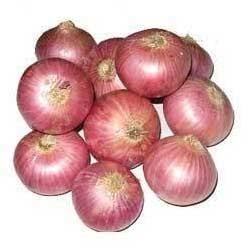 Onion / Kanda Premium,1kg