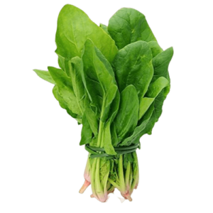 Palak Regular,1 Bunch